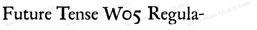 Future Tense W05 Regula字体转换